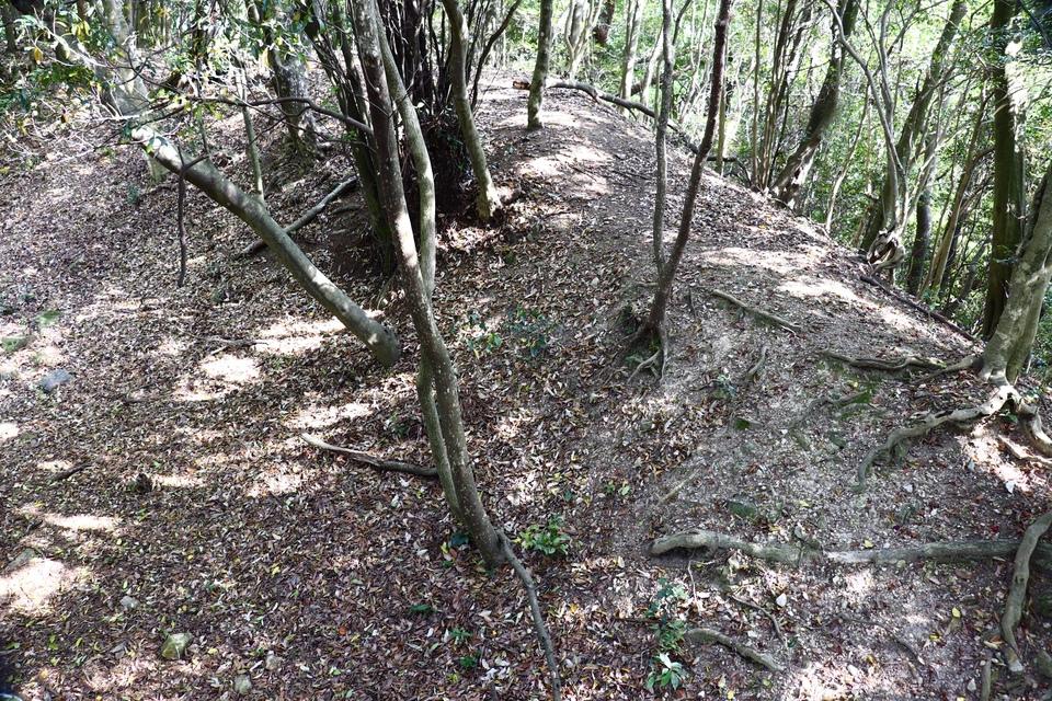 猿掛城