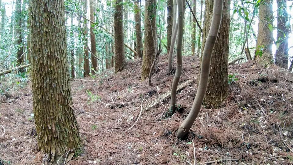 鳶ノ尾城
