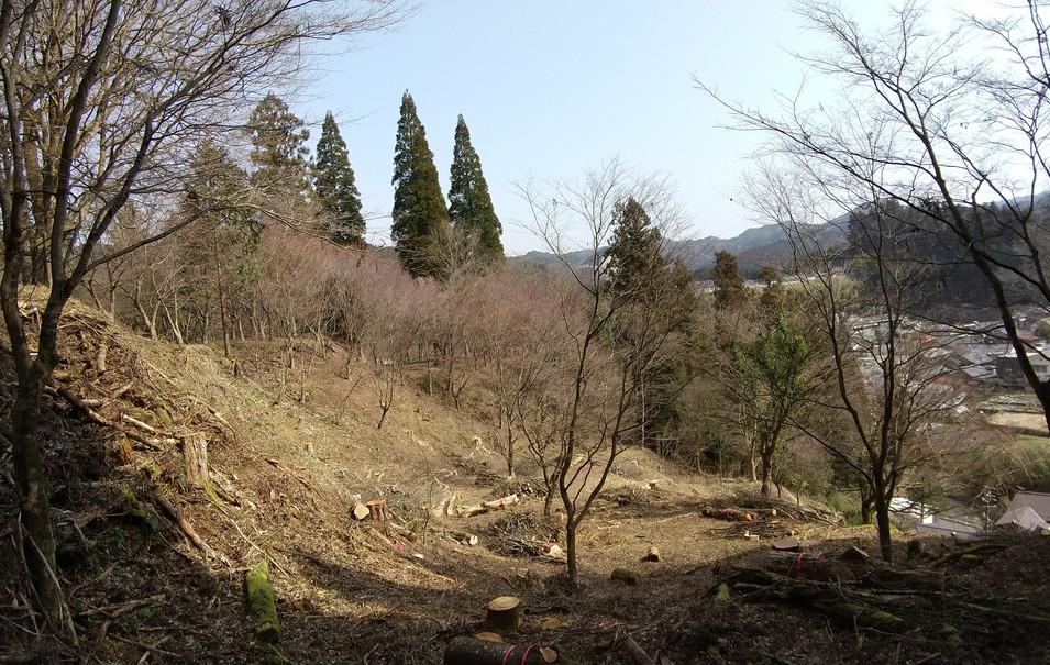 武節城