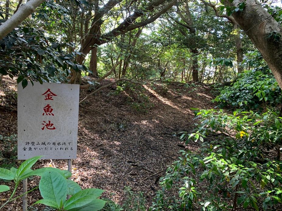 許斐山城
