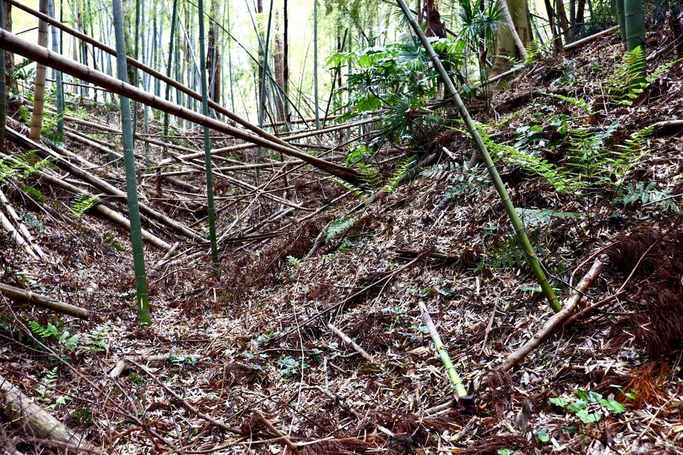多部田城