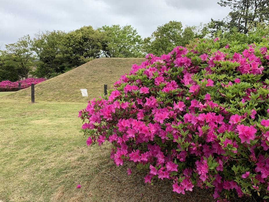 寺中御台場
