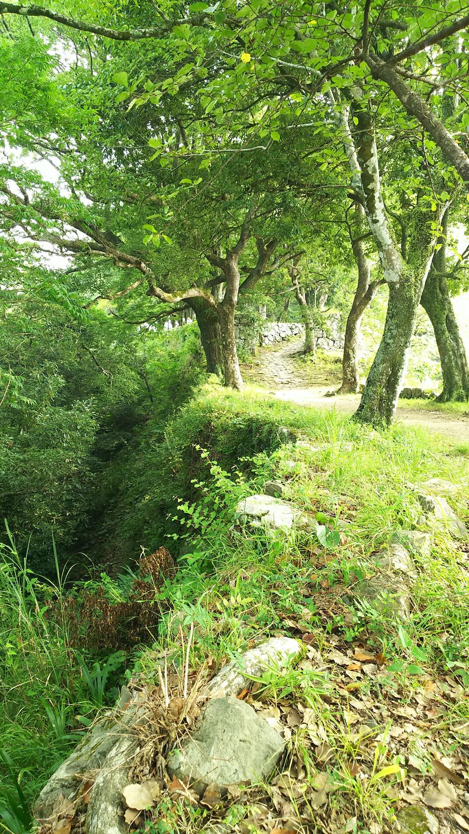佐伯城