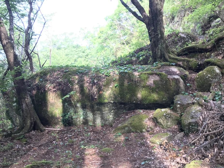 曽根城