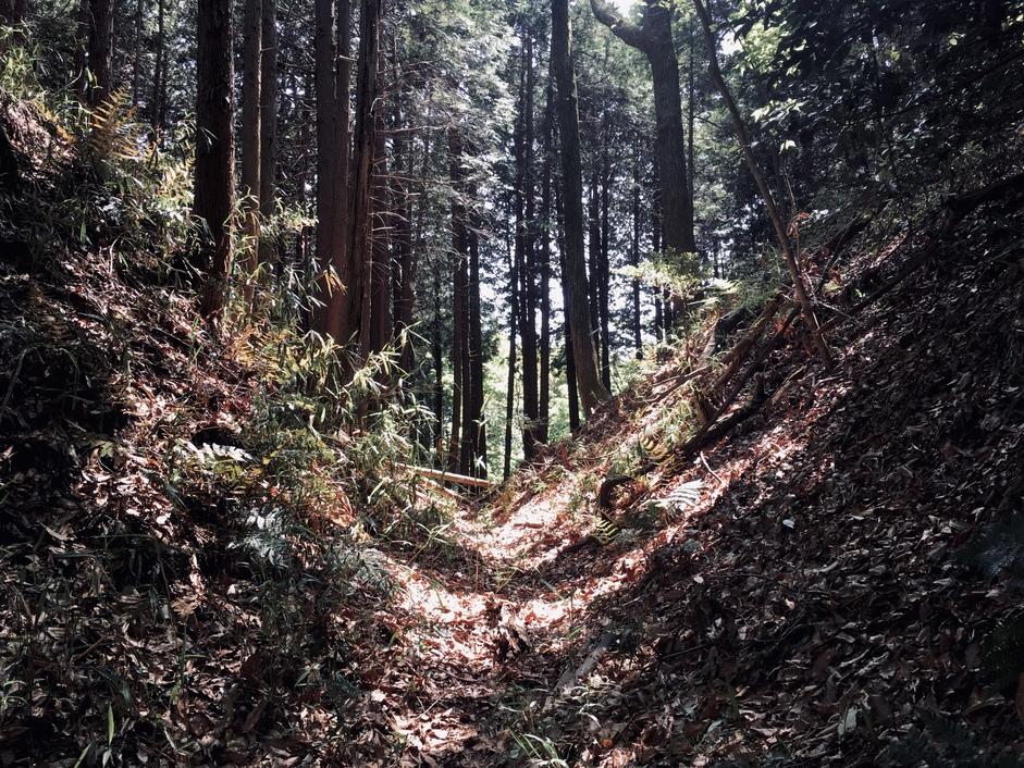 龍王山城