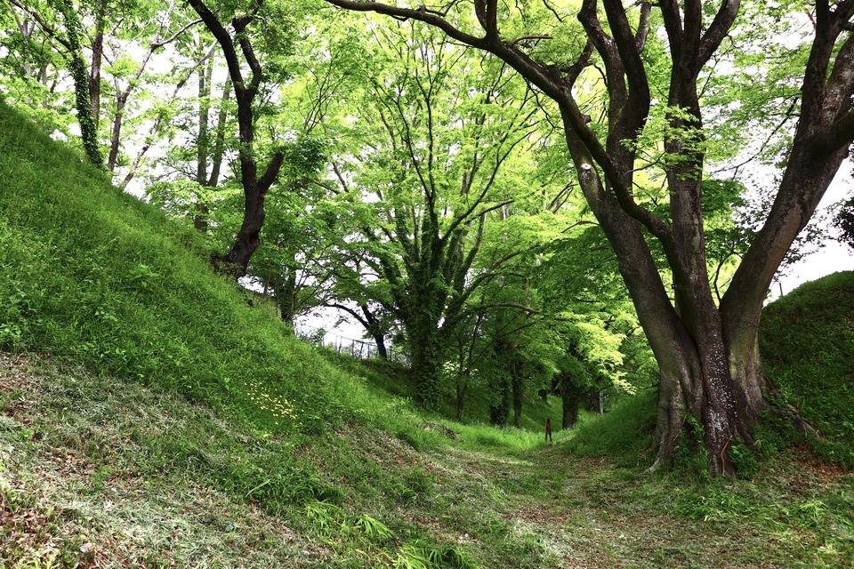 真岡城