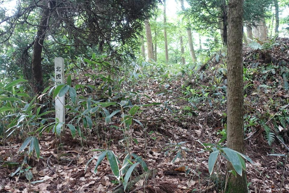 道坪野城