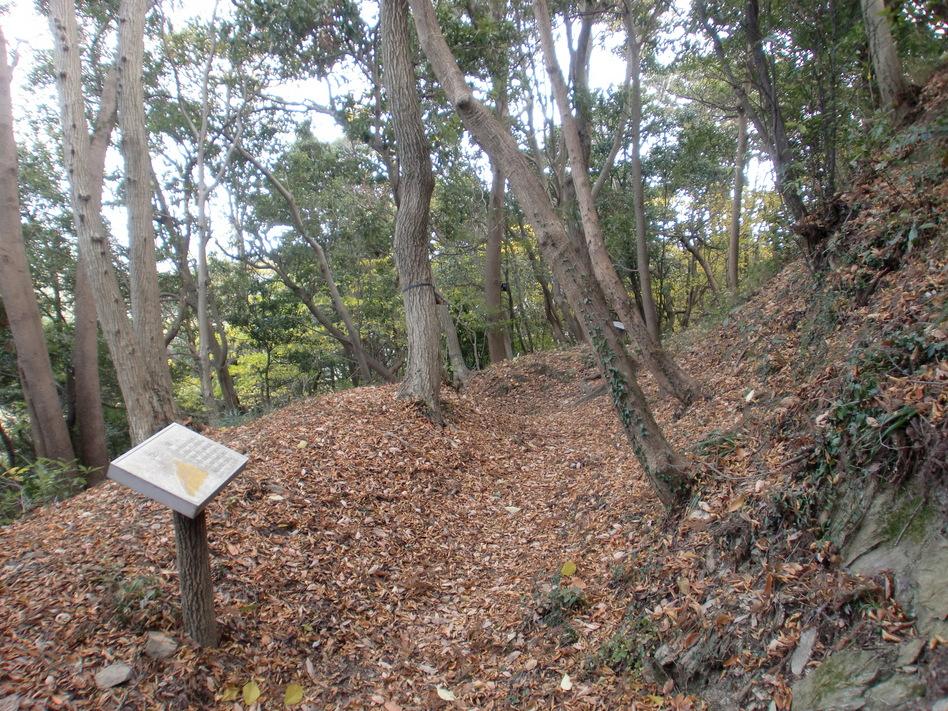 若山城