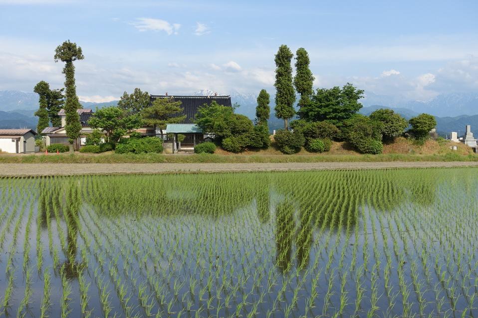 上梅沢館