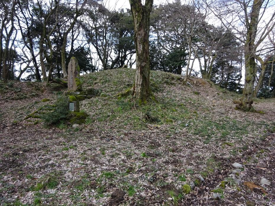 大聖寺城