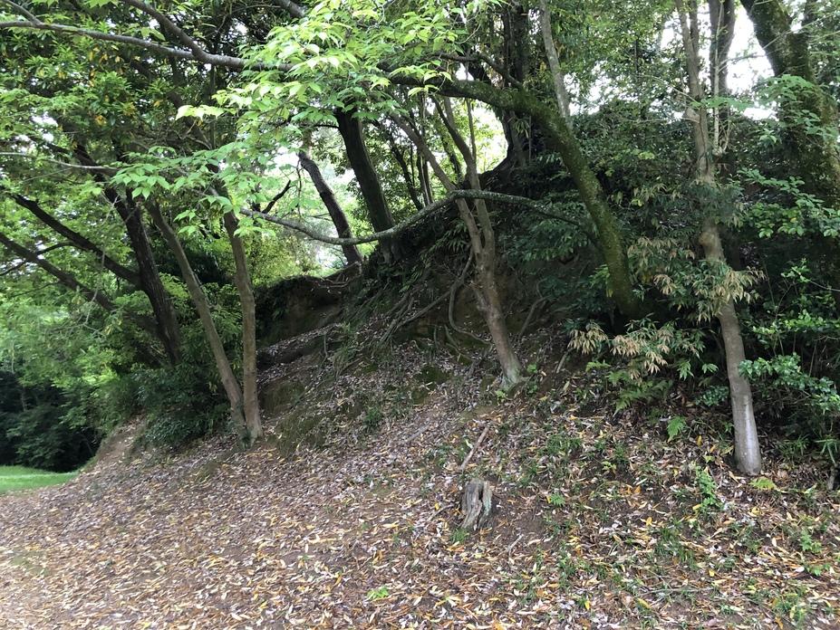 伊勢上野城