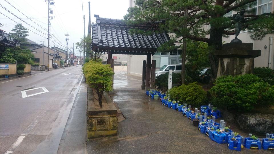 小松城
