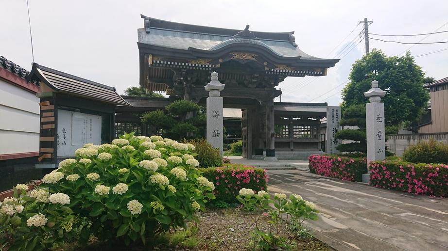 山崎城