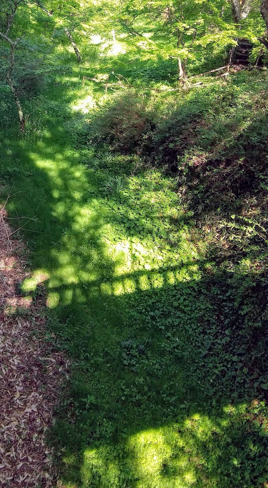 高遠城