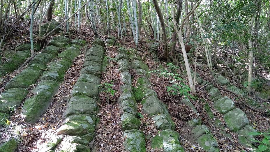 山中要害山城
