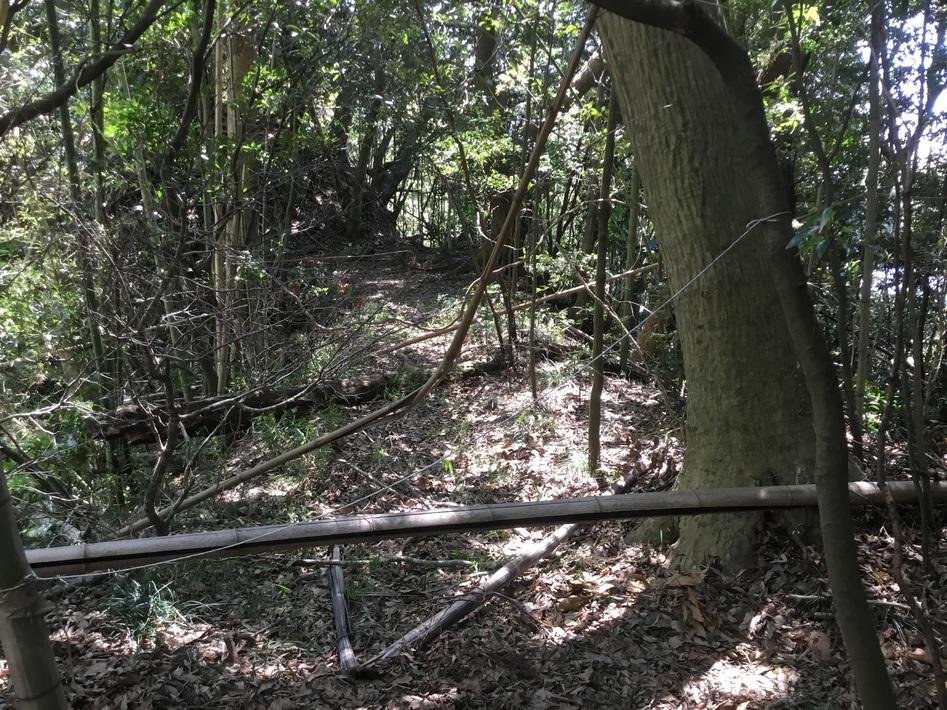 米本城