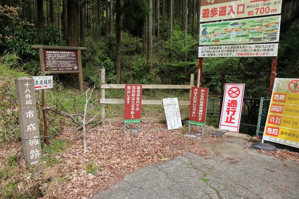 市成城