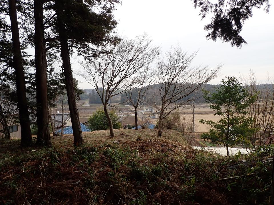 塙城