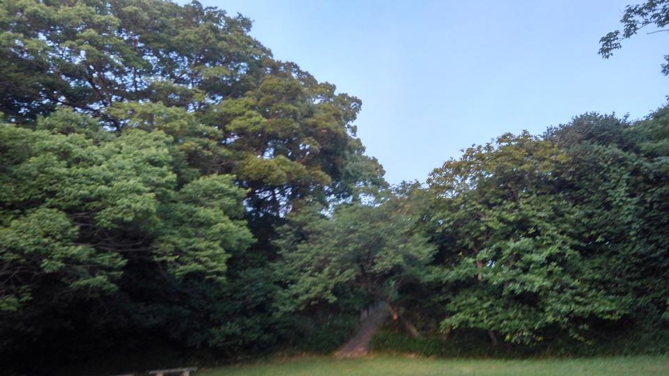 大高城