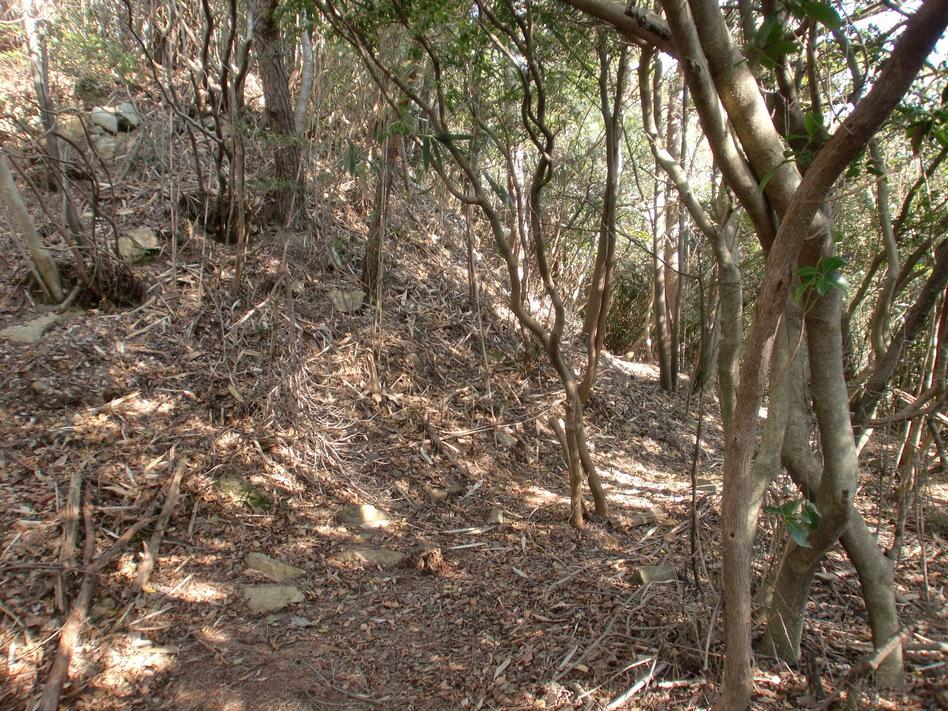 槌山城