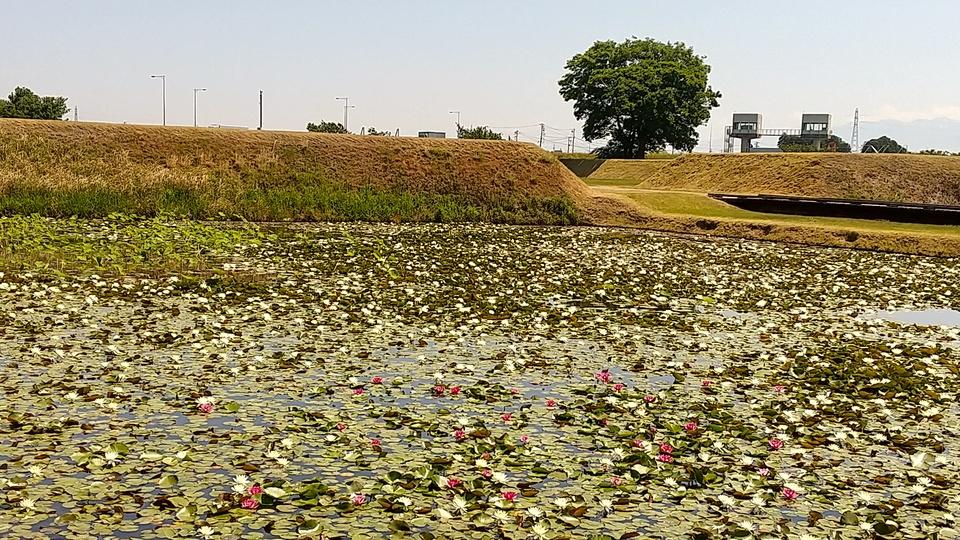 安田城