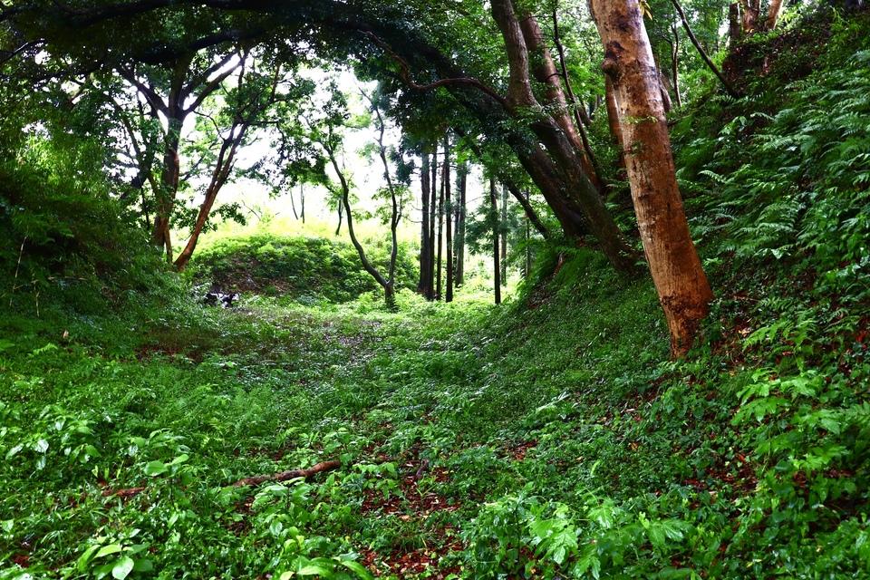 森山城