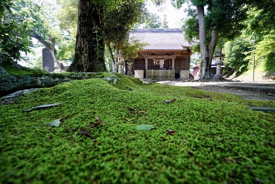 江戸崎城