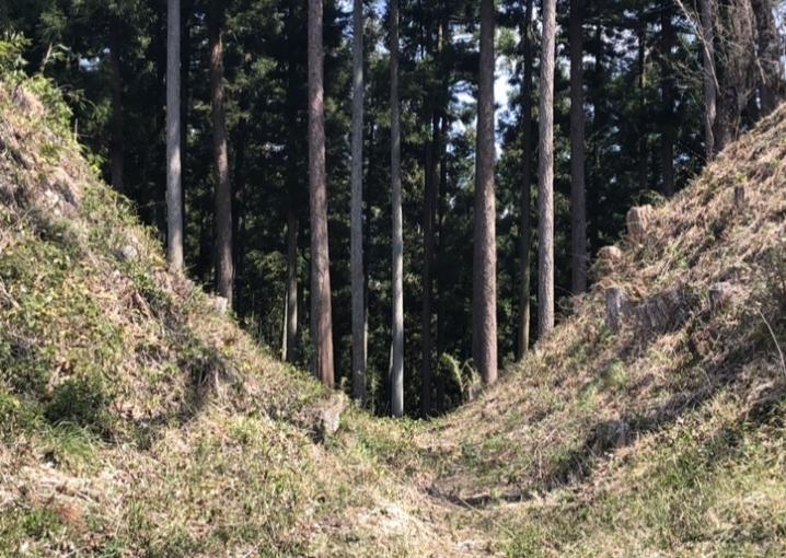 芦野城