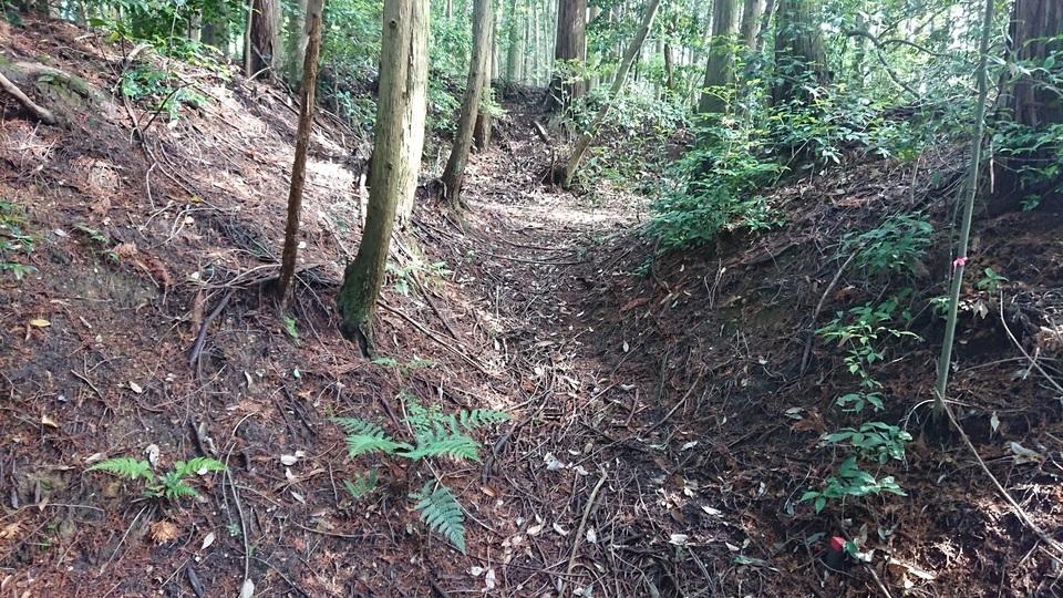 上狭川城