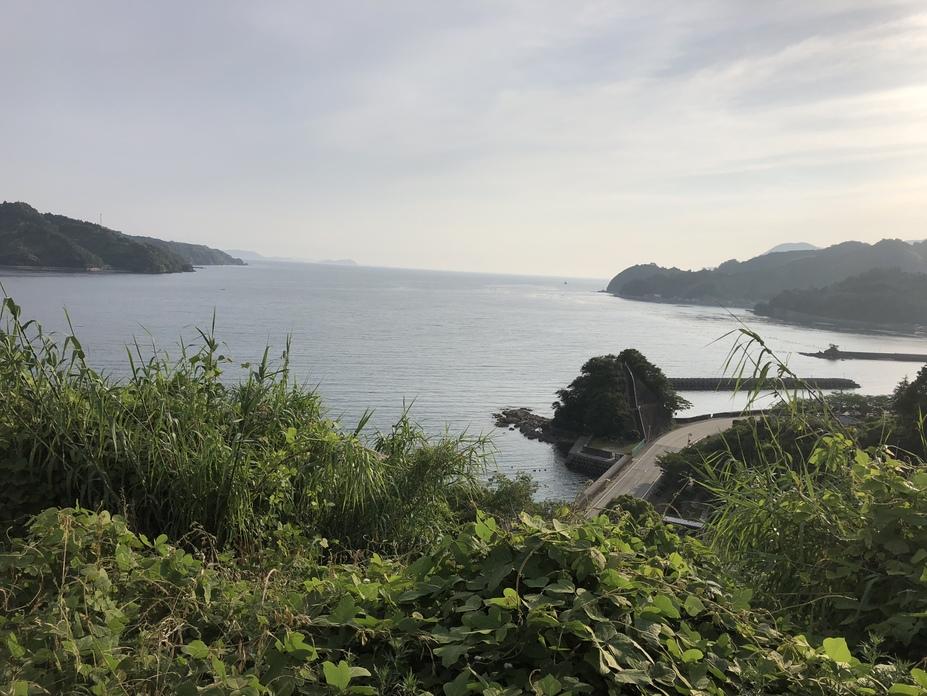 法華津本城