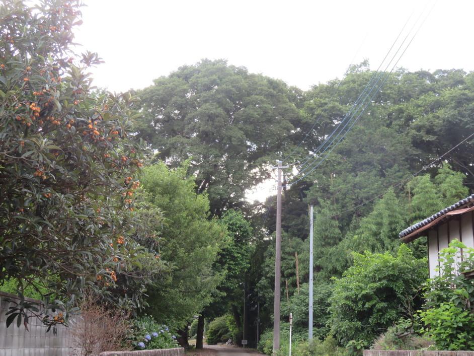 栗橋城