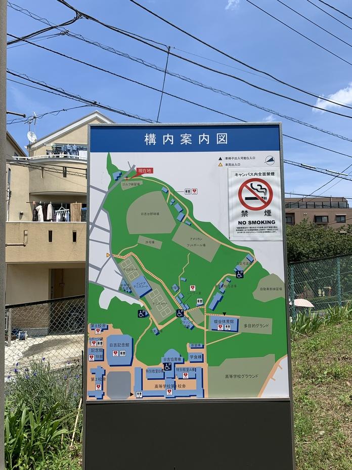 矢上城