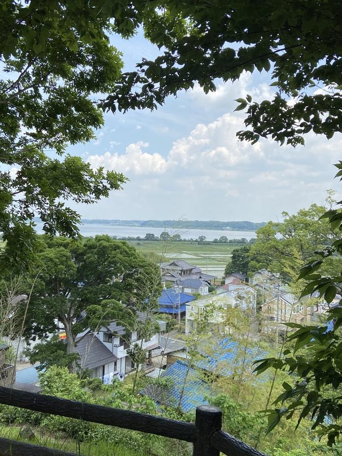 臼井城