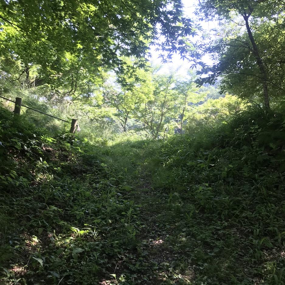 花岡城