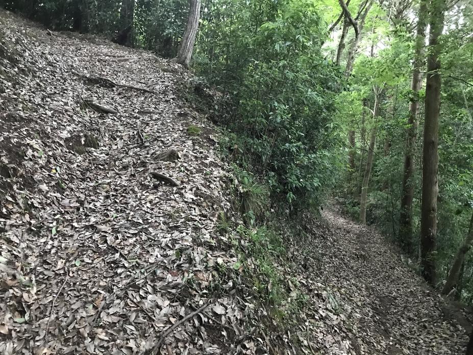 飯盛山城