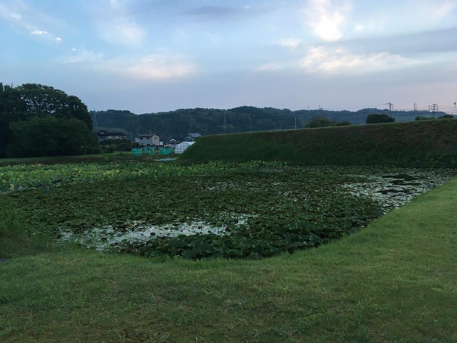 安田城