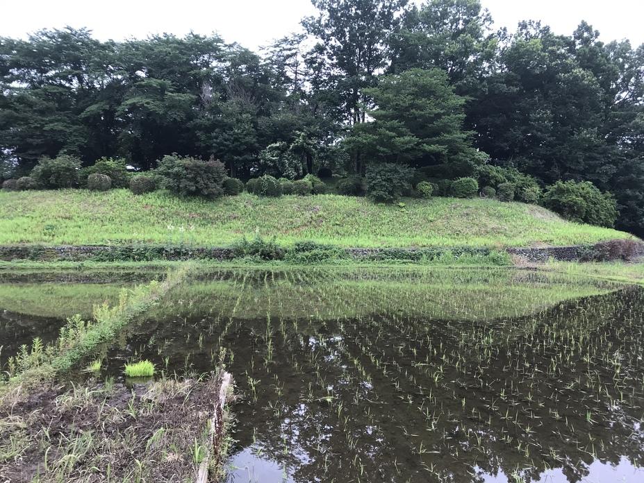 藤橋城
