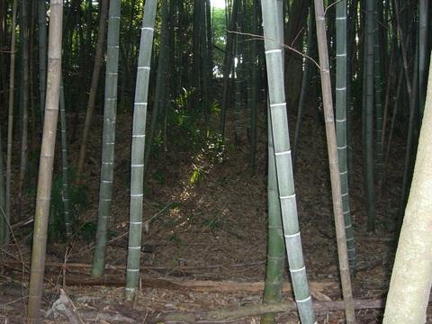 三ツ木城