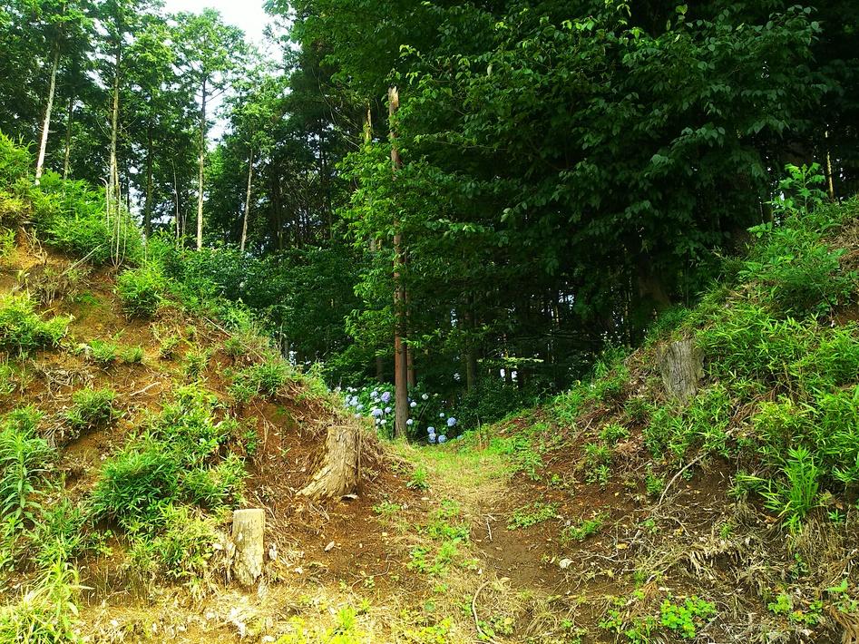 岡本城