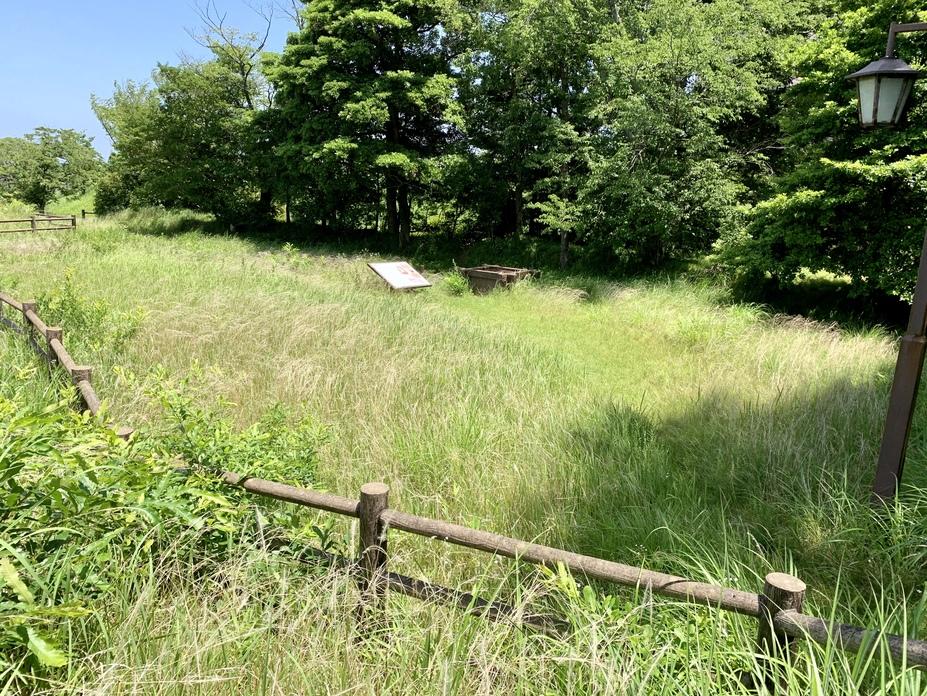 上津部田城