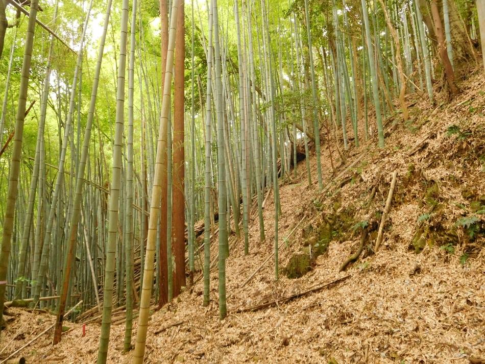 玉造要害山城