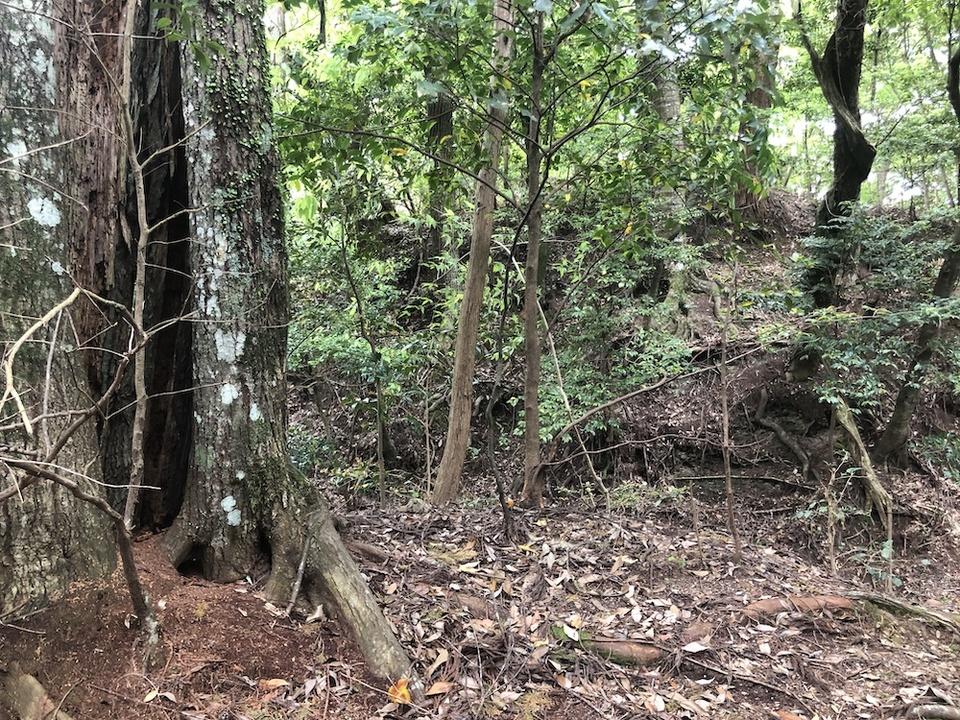 清水城