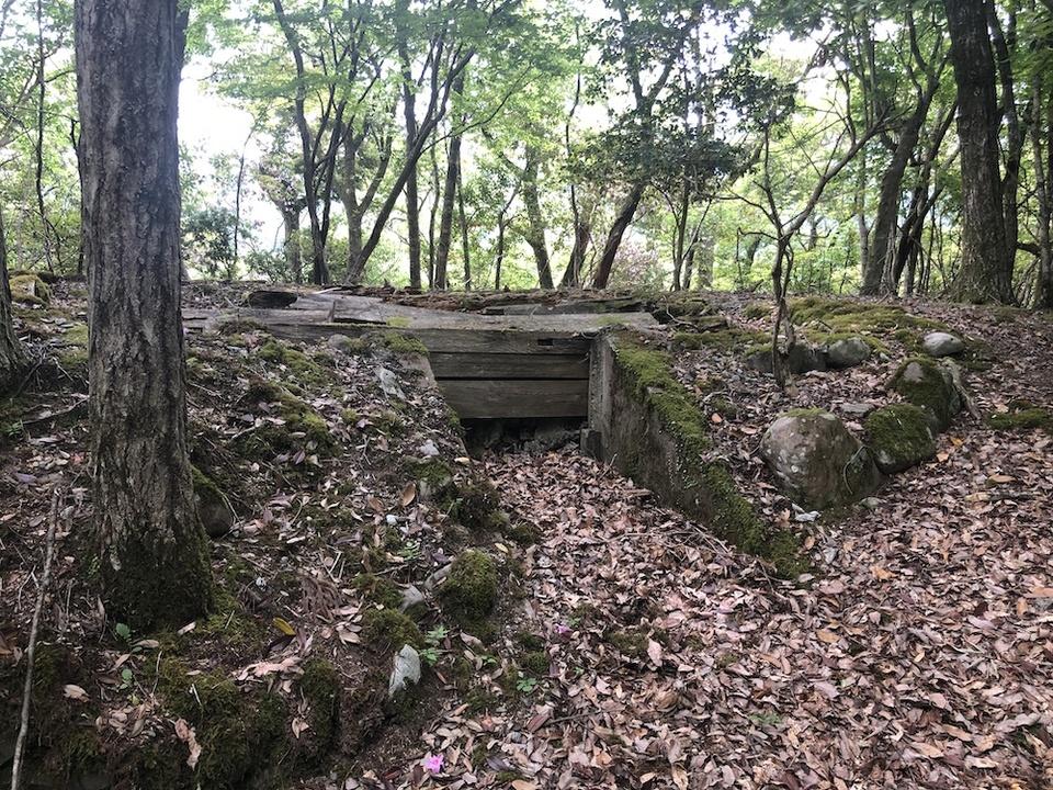 清水城