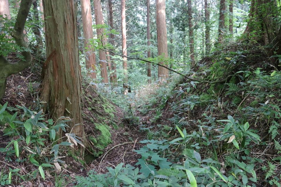 石動山城