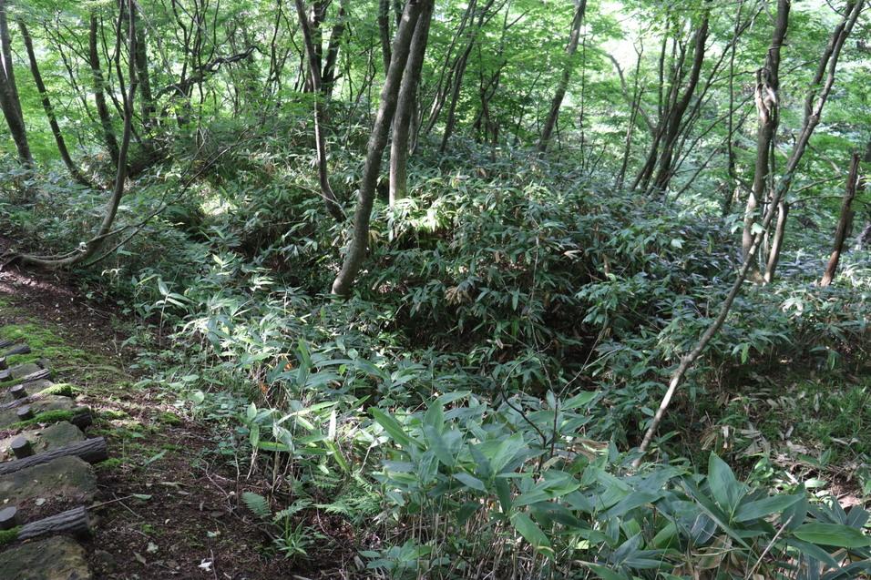 石動山城