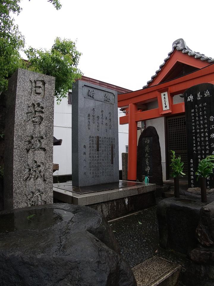 若江城