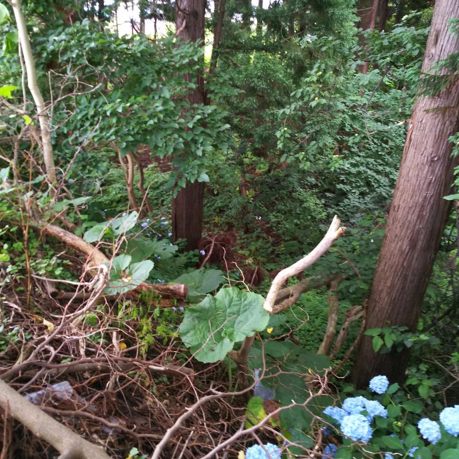 野尻館