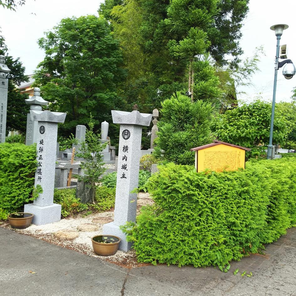 横内城