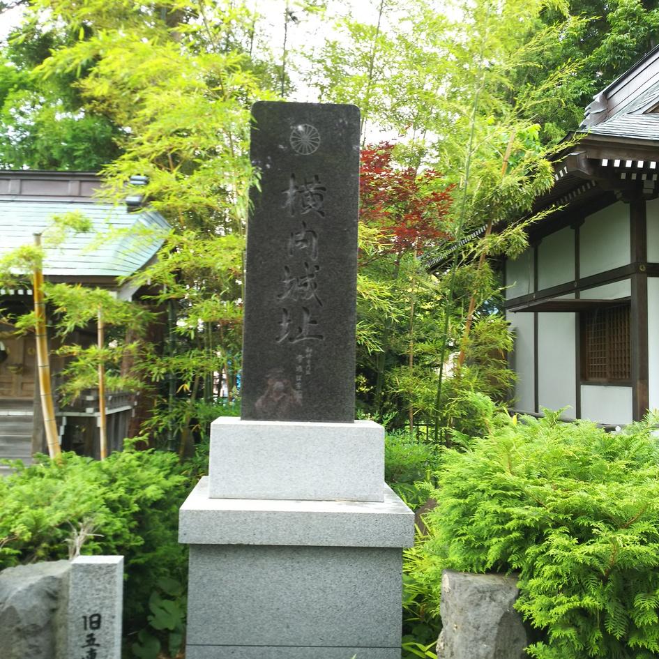 横内城