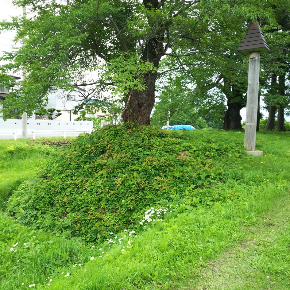高田城